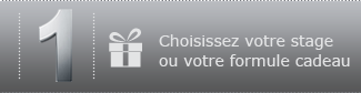 Choisissez votre stage ou votre formule cadeau